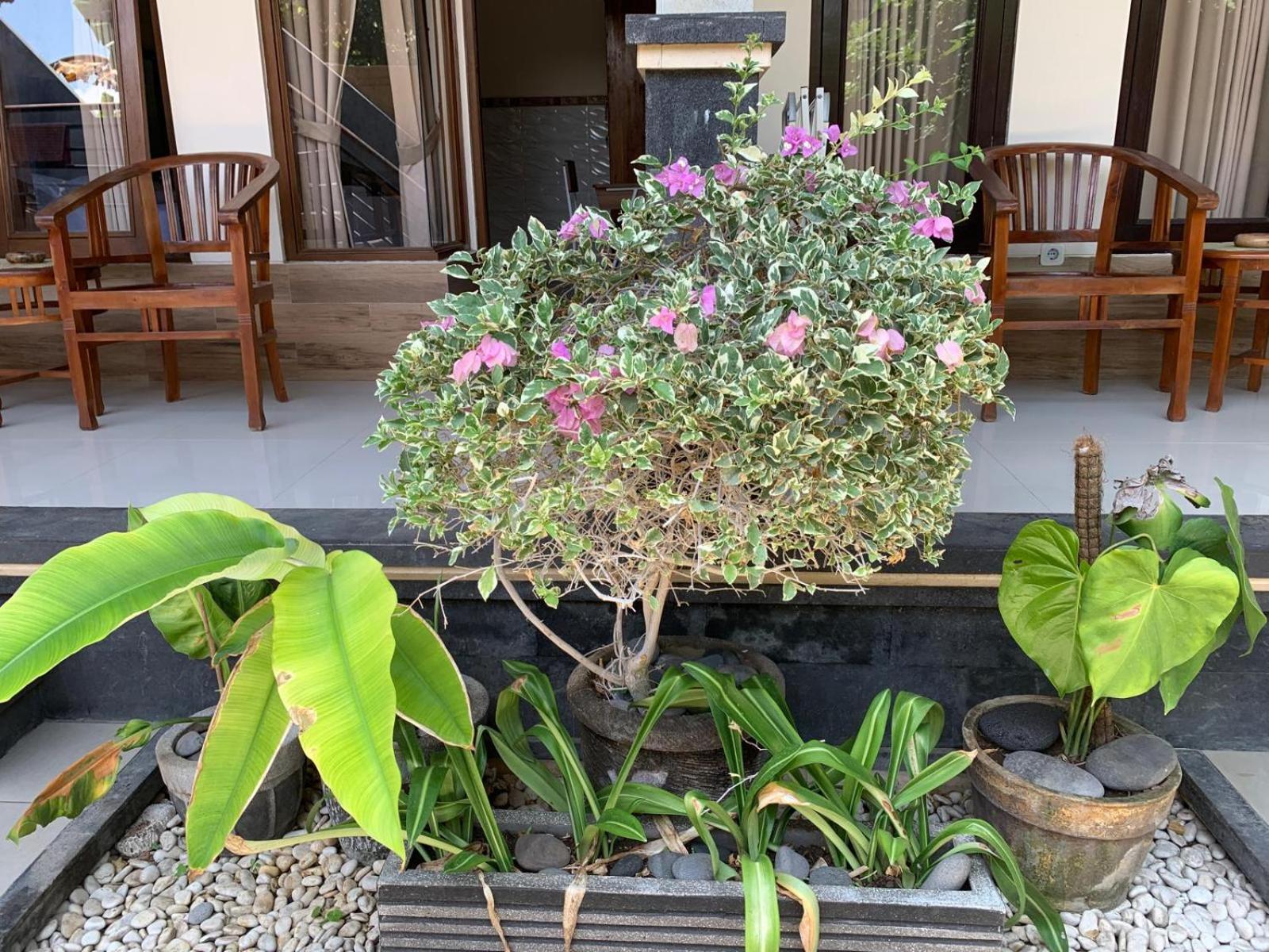 Jepun Inn بادانجباى المظهر الخارجي الصورة